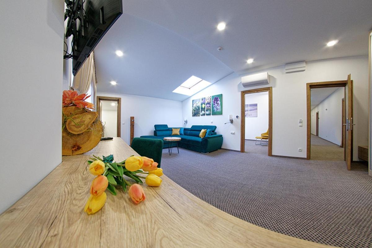 Aquarius Boutique Hotel Câmpulung Moldovenesc Pokoj fotografie